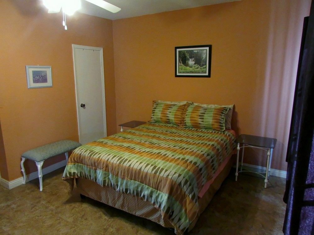 Centrally Located Guest Apartments 金斯敦 外观 照片