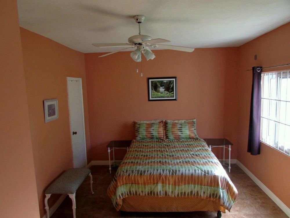 Centrally Located Guest Apartments 金斯敦 外观 照片